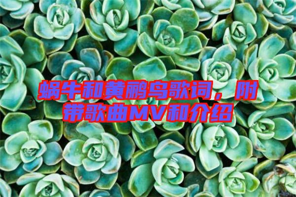 蝸牛和黃鸝鳥歌詞，附帶歌曲MV和介紹