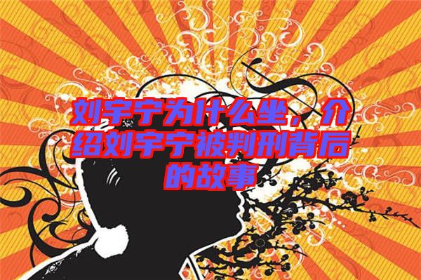 劉宇寧為什么坐，介紹劉宇寧被判刑背后的故事