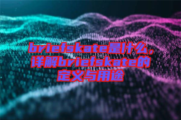 briefskate是什么，詳解briefskate的定義與用途