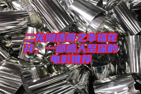 二龍湖浩哥之幸福花開，一部感人至深的電影推薦