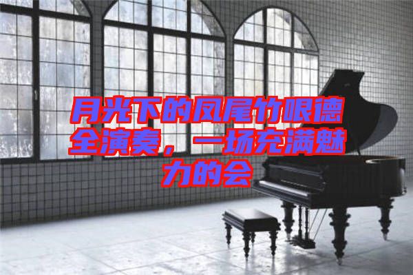月光下的鳳尾竹哏德全演奏，一場(chǎng)充滿魅力的會(huì)