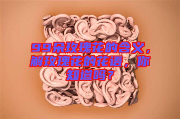 99朵玫瑰花的含義，解玫瑰花的花語，你知道嗎？