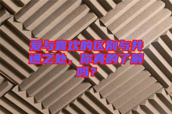 愛與喜歡的區(qū)別與共通之處，你真的了解嗎？
