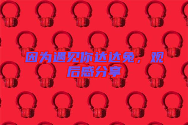 因?yàn)橛鲆娔氵_(dá)達(dá)兔，觀后感分享