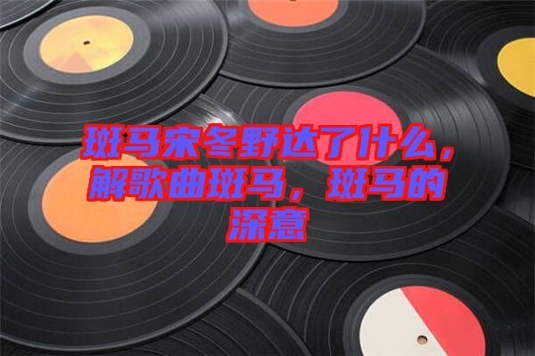 斑馬宋冬野達(dá)了什么，解歌曲斑馬，斑馬的深意