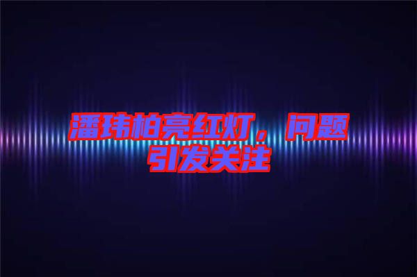 潘瑋柏亮紅燈，問題引發(fā)關(guān)注
