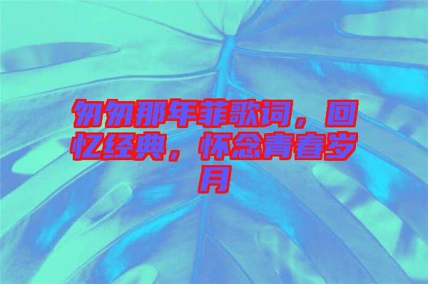 匆匆那年菲歌詞，回憶經(jīng)典，懷念青春歲月
