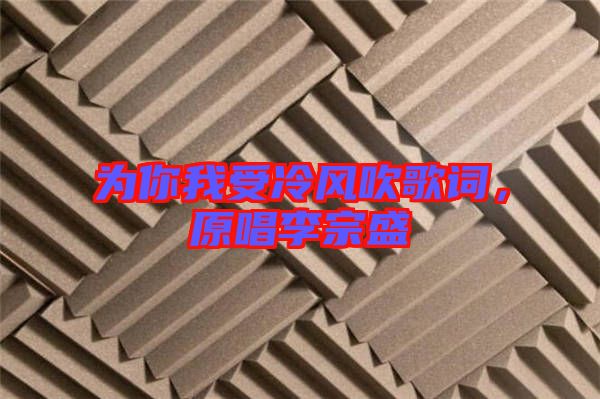 為你我受冷風(fēng)吹歌詞，原唱李宗盛