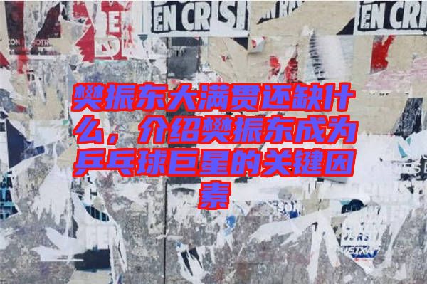 樊振東大滿貫還缺什么，介紹樊振東成為乒乓球巨星的關(guān)鍵因素