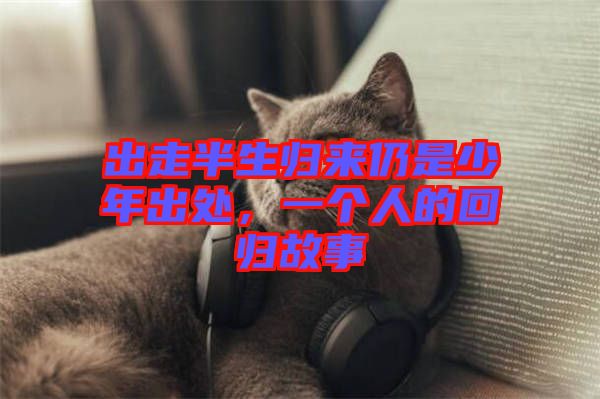 出走半生歸來仍是少年出處，一個人的回歸故事