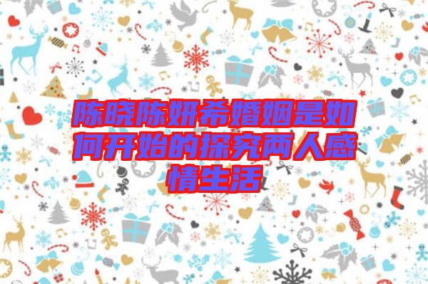 陳曉陳妍?；橐鍪侨绾伍_(kāi)始的探究?jī)扇烁星樯? width=