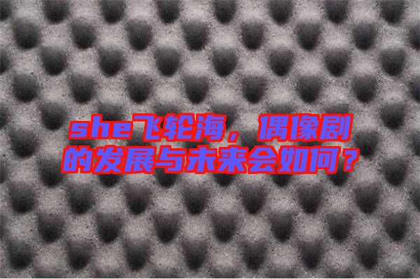 she飛輪海，偶像劇的發(fā)展與未來(lái)會(huì)如何？