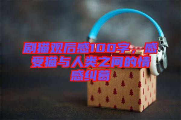 劇貓觀后感100字，感受貓與人類(lèi)之間的情感糾葛