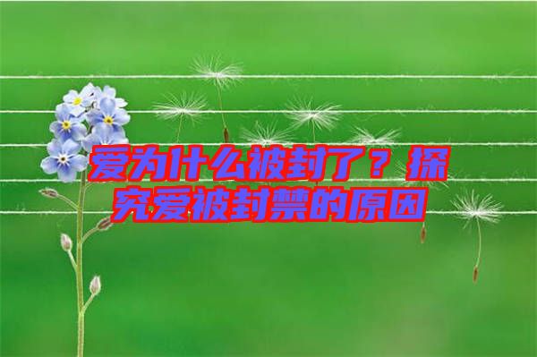 愛為什么被封了？探究愛被封禁的原因