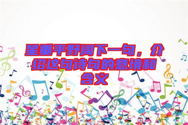 星垂平野闊下一句，介紹這句詩句的意境和含義