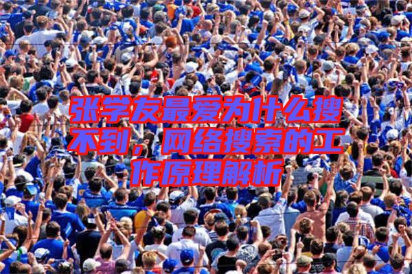 張學(xué)友最愛為什么搜不到，網(wǎng)絡(luò)搜索的工作原理解析