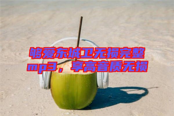 夠愛東城衛(wèi)無損完整mp3，享高音質無損