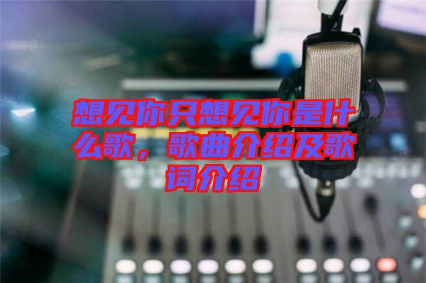 想見你只想見你是什么歌，歌曲介紹及歌詞介紹