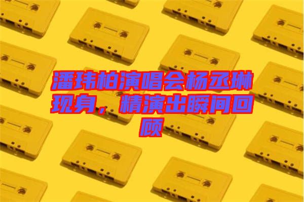 潘瑋柏演唱會(huì)楊丞琳現(xiàn)身，精演出瞬間回顧