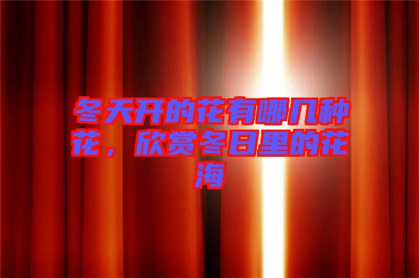 冬天開的花有哪幾種花，欣賞冬日里的花海