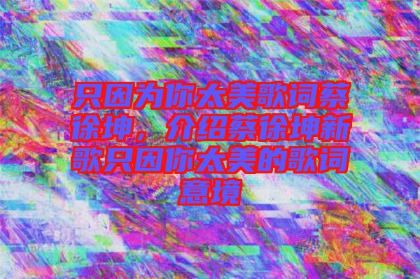只因?yàn)槟闾栏柙~蔡徐坤，介紹蔡徐坤新歌只因你太美的歌詞意境