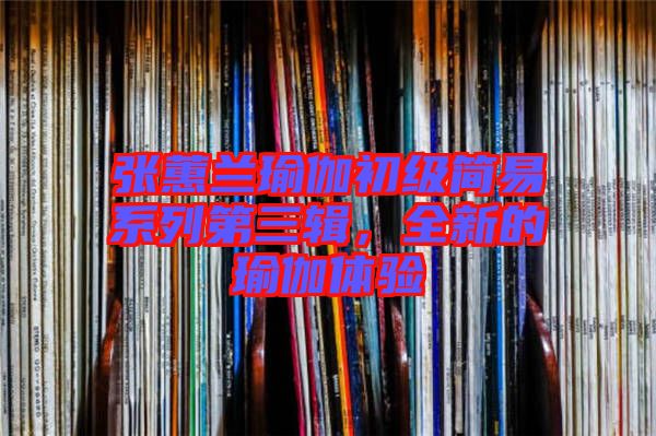 張蕙蘭瑜伽初級簡易系列第三輯，全新的瑜伽體驗(yàn)
