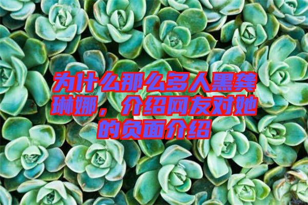 為什么那么多人黑龔琳娜，介紹網(wǎng)友對(duì)她的負(fù)面介紹