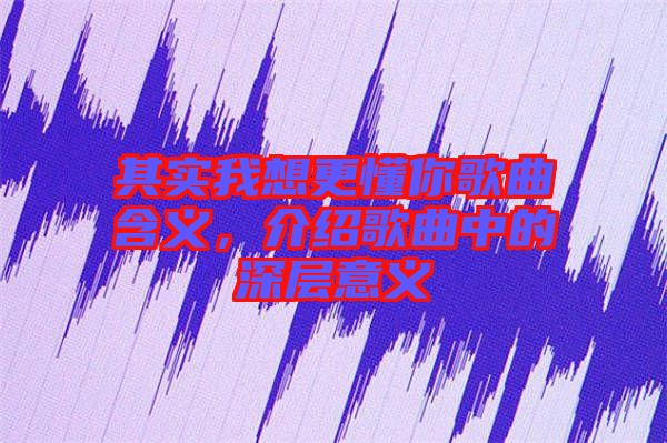 其實(shí)我想更懂你歌曲含義，介紹歌曲中的深層意義