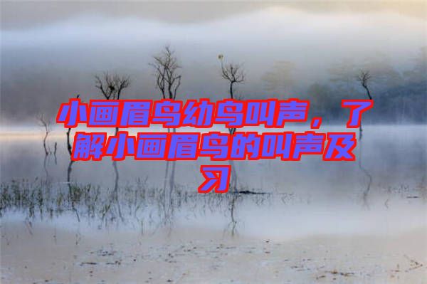 小畫眉鳥幼鳥叫聲，了解小畫眉鳥的叫聲及習(xí)