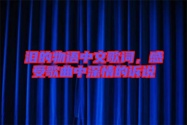 淚的物語(yǔ)中文歌詞，感受歌曲中深情的訴說(shuō)