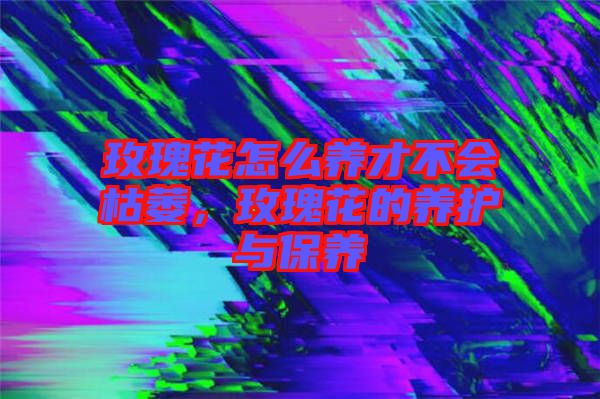 玫瑰花怎么養(yǎng)才不會(huì)枯萎，玫瑰花的養(yǎng)護(hù)與保養(yǎng)