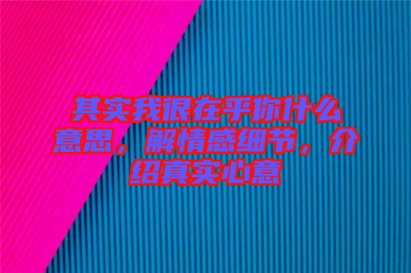 其實我很在乎你什么意思，解情感細節(jié)，介紹真實心意