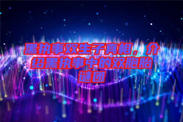 黑執(zhí)事雙生子真相，介紹黑執(zhí)事中的雙胞胎謎團