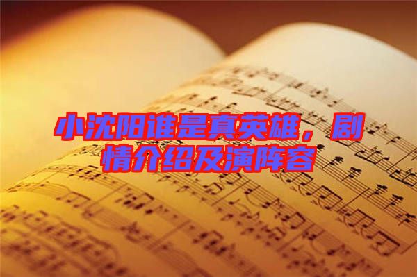 小沈陽(yáng)誰(shuí)是真英雄，劇情介紹及演陣容
