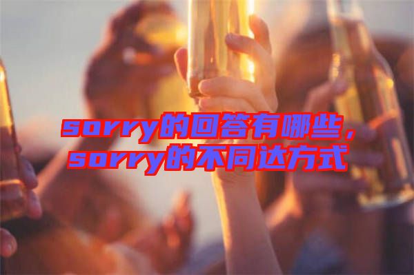 sorry的回答有哪些，sorry的不同達方式