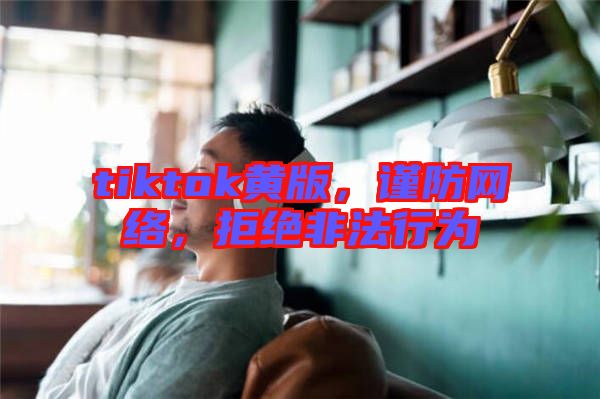 tiktok黃版，謹(jǐn)防網(wǎng)絡(luò)，拒絕非法行為