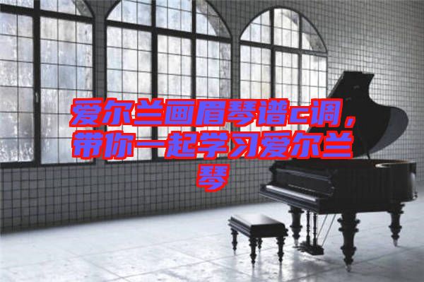 愛爾蘭畫眉琴譜c調(diào)，帶你一起學(xué)習(xí)愛爾蘭琴