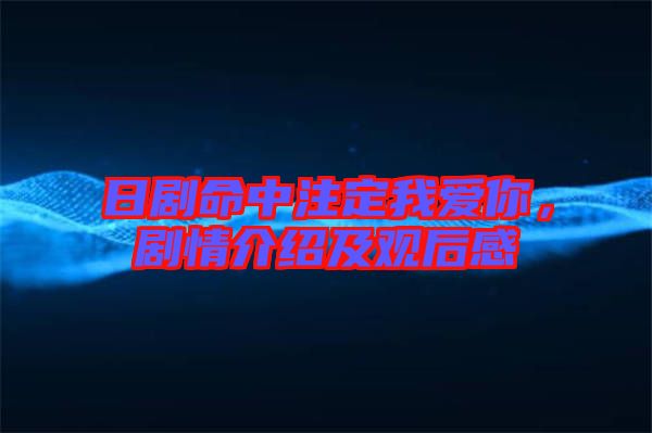 日劇命中注定我愛你，劇情介紹及觀后感