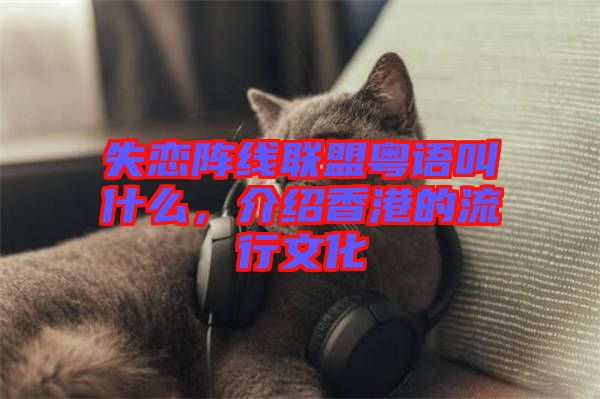 失戀陣線聯盟粵語叫什么，介紹香港的流行文化