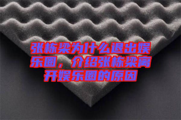 張棟梁為什么退出娛樂圈，介紹張棟梁離開娛樂圈的原因