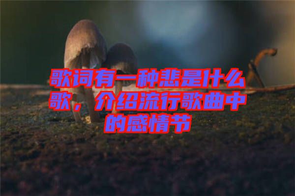 歌詞有一種悲是什么歌，介紹流行歌曲中的感情節(jié)