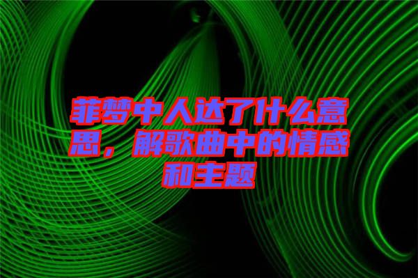 菲夢中人達(dá)了什么意思，解歌曲中的情感和主題