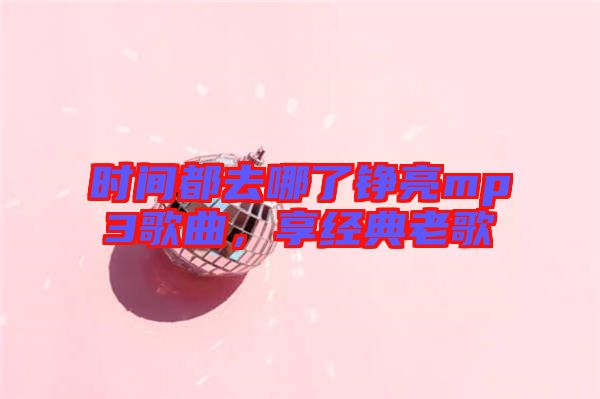 時(shí)間都去哪了錚亮mp3歌曲，享經(jīng)典老歌