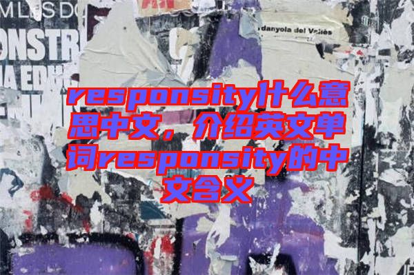 responsity什么意思中文，介紹英文單詞responsity的中文含義