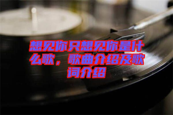 想見你只想見你是什么歌，歌曲介紹及歌詞介紹