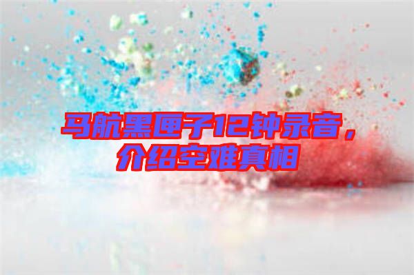 馬航黑匣子12鐘錄音，介紹空難真相