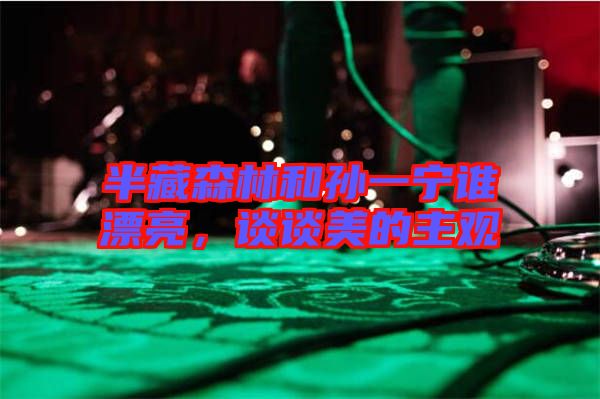 半藏森林和孫一寧誰漂亮，談?wù)劽赖闹饔^