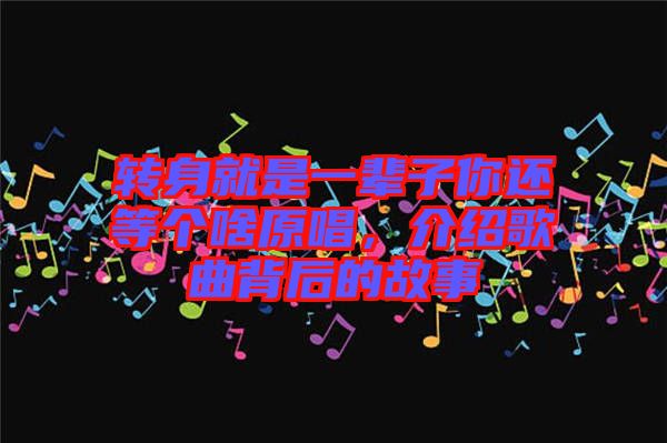 轉(zhuǎn)身就是一輩子你還等個啥原唱，介紹歌曲背后的故事