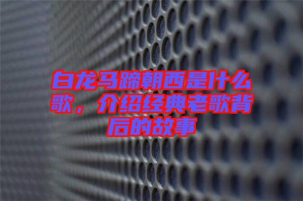 白龍馬蹄朝西是什么歌，介紹經(jīng)典老歌背后的故事