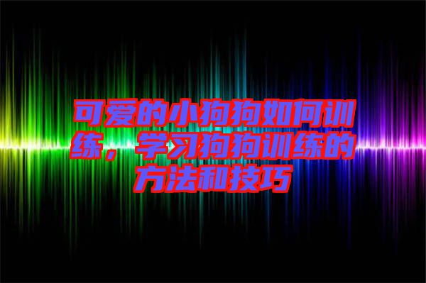 可愛的小狗狗如何訓練，學習狗狗訓練的方法和技巧